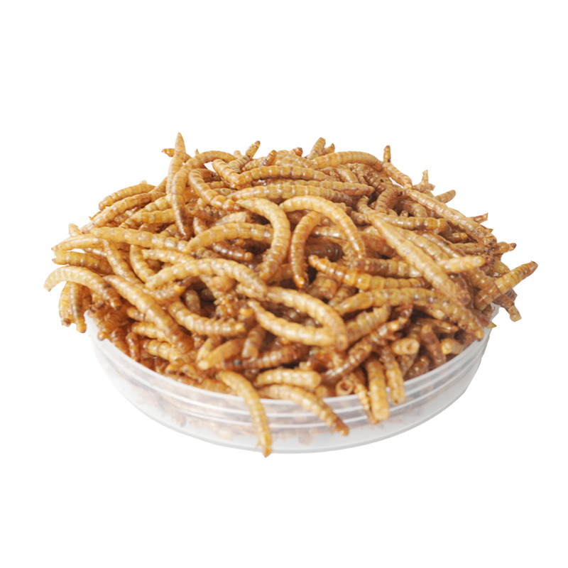 Food Snacks With Protein - ขนมโปรตีนสูง อาหารแฮมสเตอร์ อาหารนก เม่น หนูตะเภา อะโรวาน่า