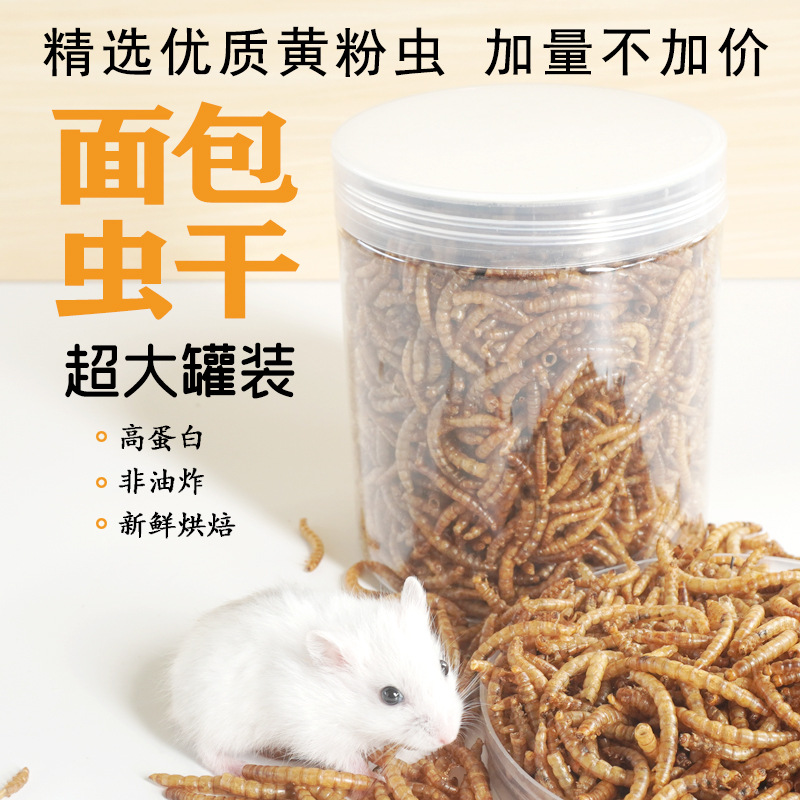 ขนมโปรตีนสูง อาหารแฮมสเตอร์ อา - Food Snacks With Protein บทวิจารณ์และราคา